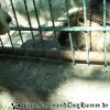 2011-05-01 13.49.15